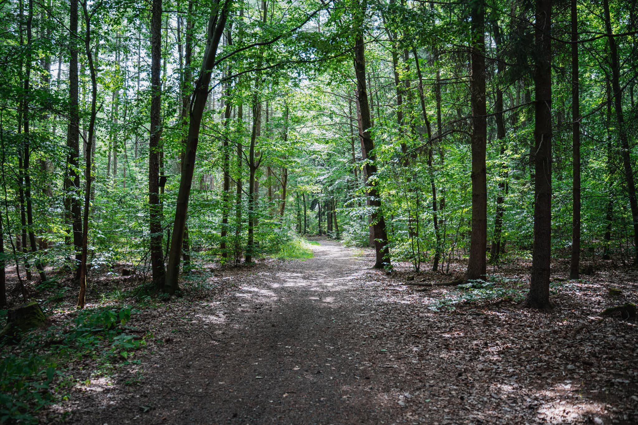 Dubnové nadechnutí